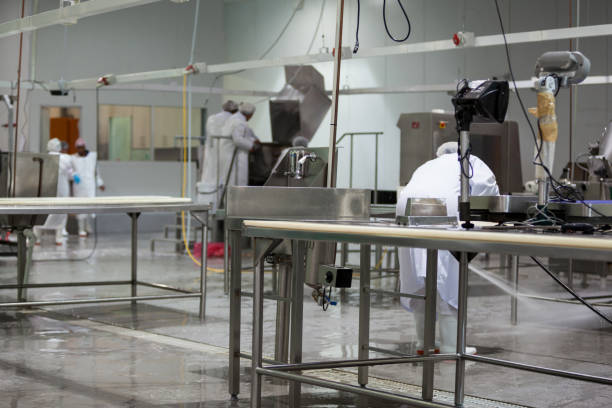 Butcher cleaning the floor Butcher cleaning the floor at meat factory meat factory stock pictures, royalty-free photos & images