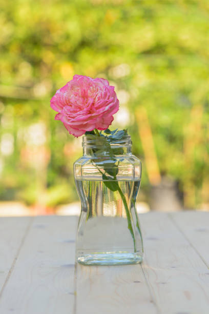 istock Pink rose in glass jar on wooden table 653978642