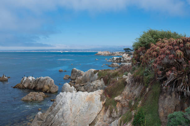 istock Monterey Bay Coastline - Pacific Grove 653982454