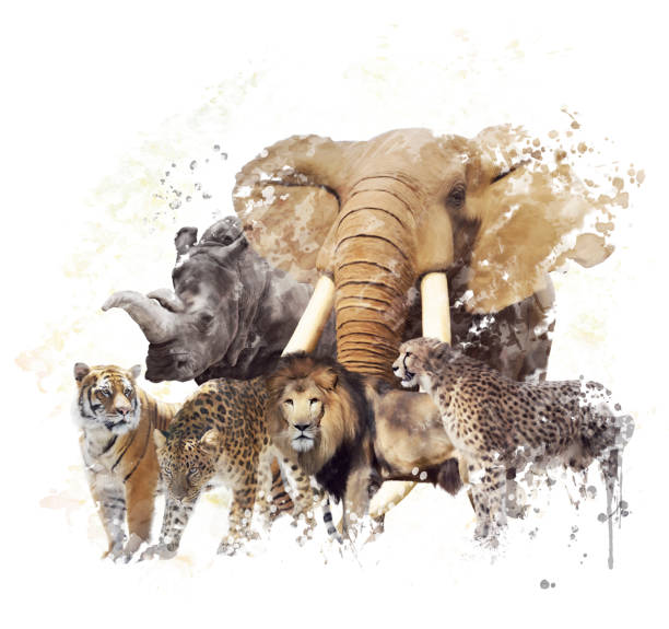 istock Wild Animals Watercolor 653991158