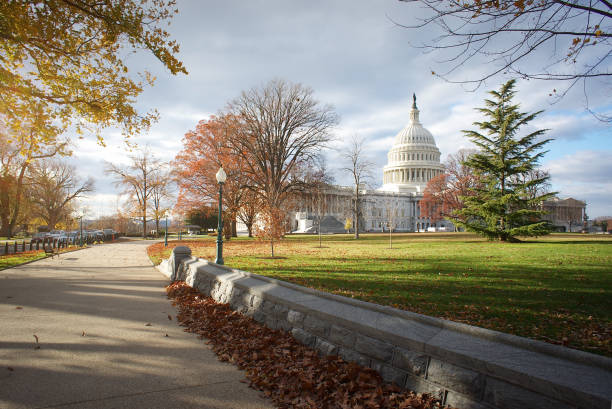 istock United States Capitol 654003506