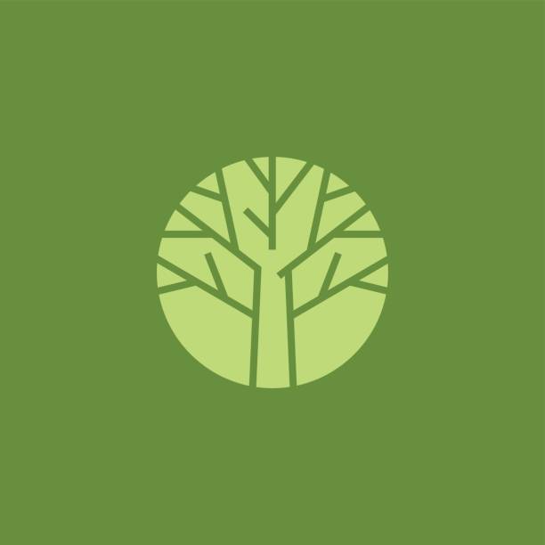 illustrations, cliparts, dessins animés et icônes de modèle de conception icône arbre branche - tree branch tree trunk leaf