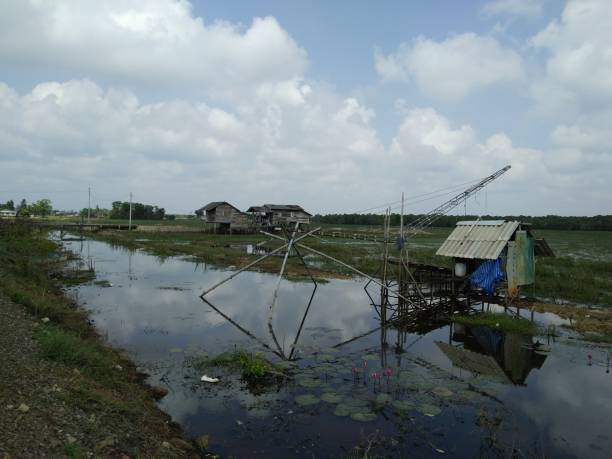 istock Fishing tools in the countryside. 654013774