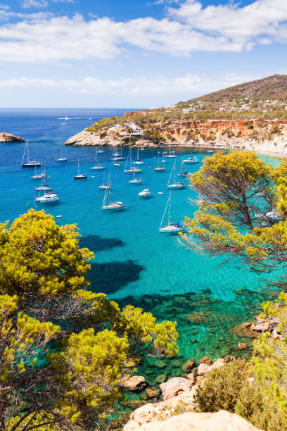 cala d hort nelle isole baleari - ibiza foto e immagini stock