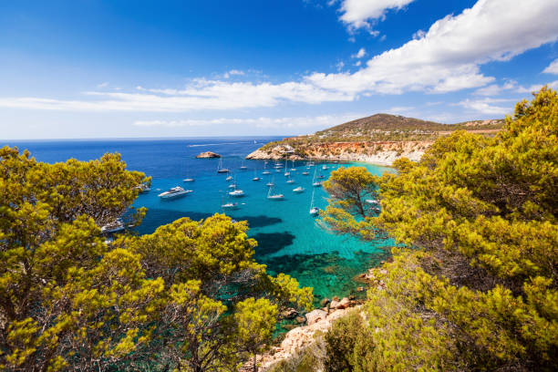 istock Cala d Hort in Balearic Islands 654013956