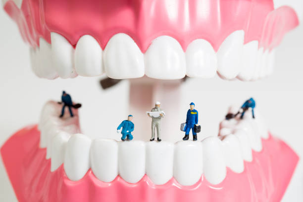 istock miniature people to clean tooth model 654016196