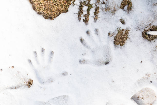 Kids Five Fingers On Green Grass Stock Photo 2244762073