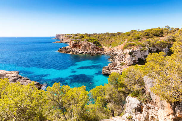 istock Sunny view of Cala s'Almunia 654017058