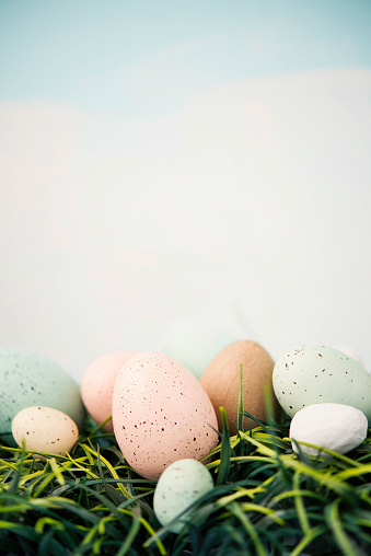 Easter still life in pastel colors. Eggs in grass