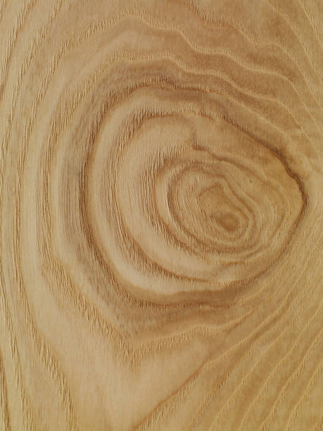 istock Oak wood texture Wood Knot Light wood texture 654020014