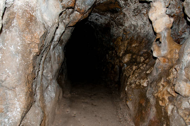 istock Pena Park Tunnel - Sintra - Portugal 654030940