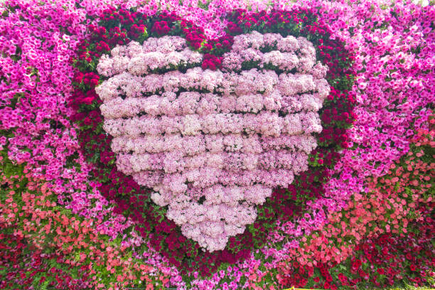 istock Closeup image of beautiful flowers wall heart shape background 654034704