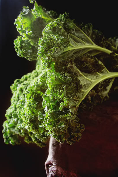 Whole leaves of Italian salad Kale  on a dark wooden table. Coun