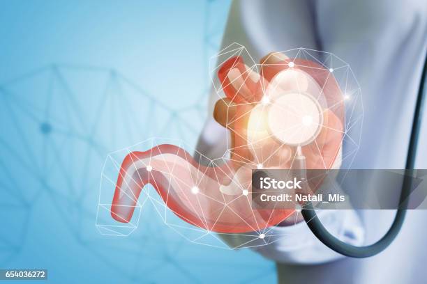 The Doctor Checks The Patients Stomach Stock Photo - Download Image Now - Gastroenterology, Human Digestive System, Stomach