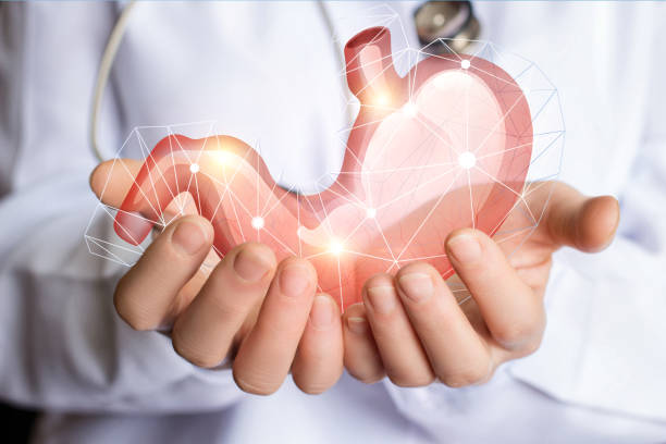 istock Support and care of the human stomach . 654036286