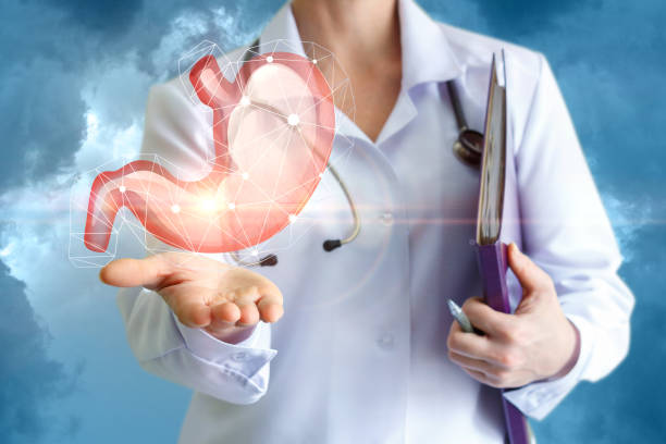 istock The doctor shows the human stomach. 654036292