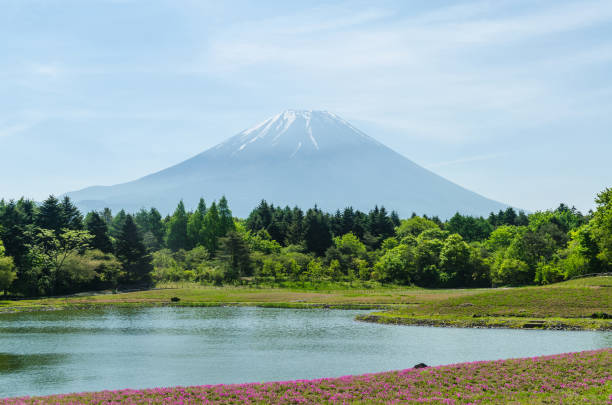 istock Mount fuji and pink moss in may at japan ,selective focus blur foreground 654051112
