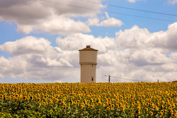 istock European natural countryside 654051840