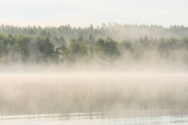 istock Foggy forest and lake at dawn 654056422