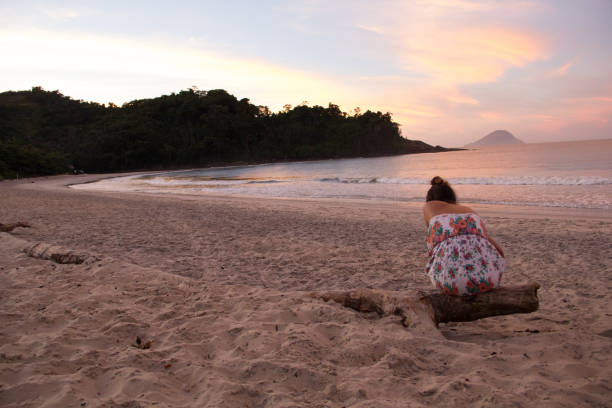 istock Paradise In South America. 654061788