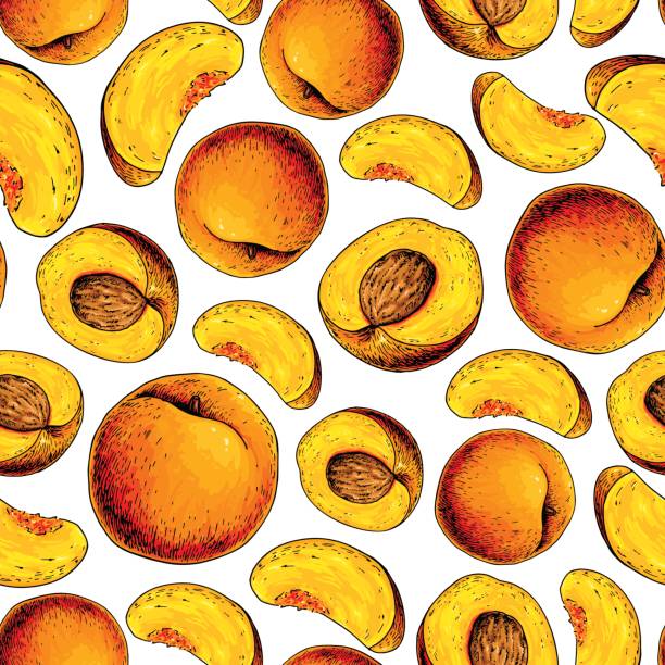 wektor brzoskwiniowy bezszwowy wzór. ręcznie rysowane, pełne i pokrojone kawałki - nectarine peach backgrounds white stock illustrations