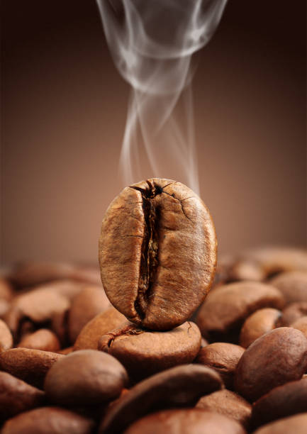 istock Closeup coffee bean with smoke on brown background 654068836