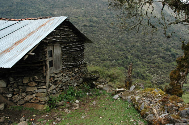 wooden house in the jungle