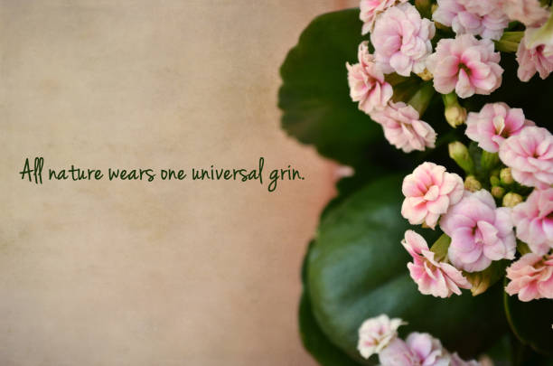 istock Inspirational and motivational vintage quote 654083102