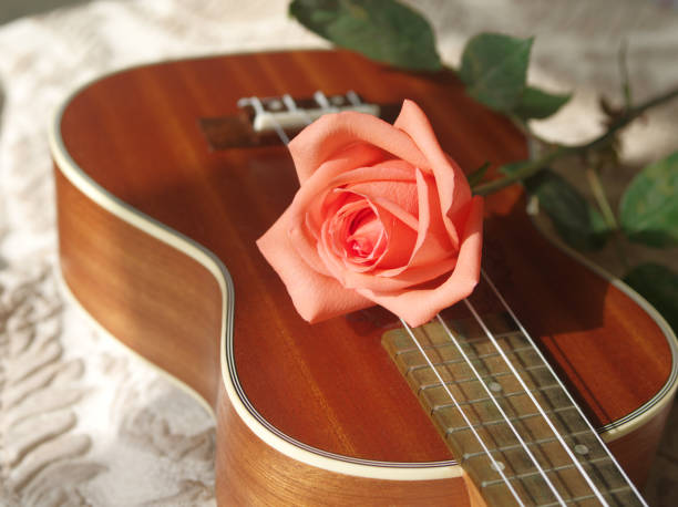 istock Rose on ukulele, Love, Valentines concept. 654084982