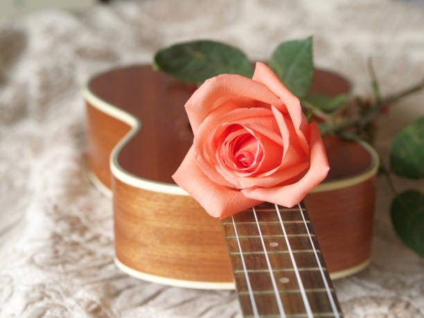 istock Rose on ukulele, Love, Valentines concept. 654094578