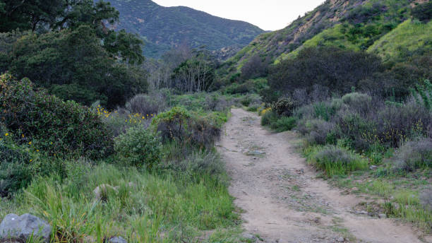 istock Dirt road to mountain top 654096100
