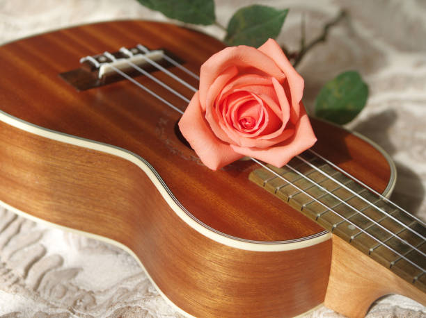 istock Rose on ukulele, Love, Valentines concept. 654098604