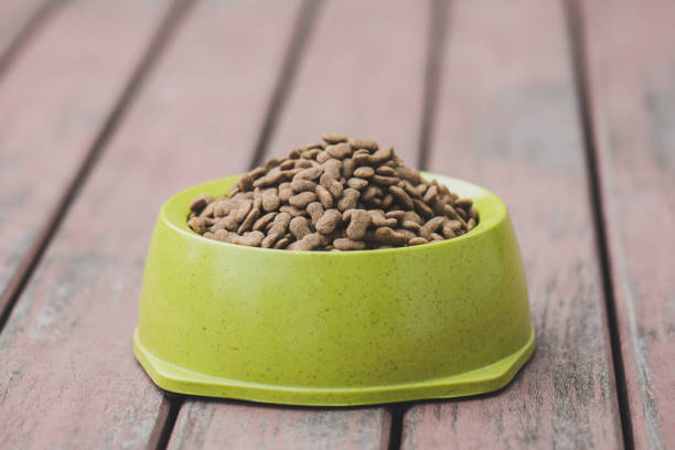 istock Dog food in a bowl 654098650