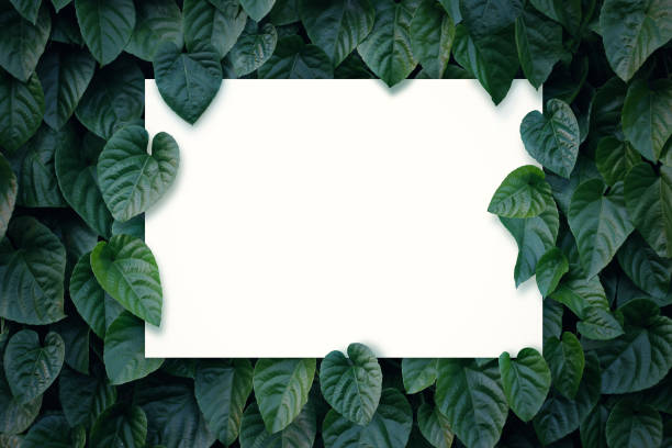 istock Flowers and leaves with paper blank, nature and environment concept 654100048
