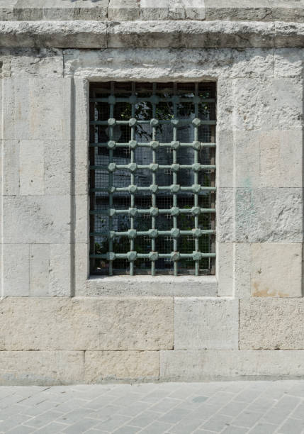 istock Front view of a metal grille on the window 654103164