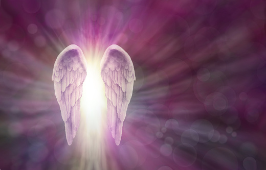 Wide magenta bokeh background with a pair of Angel Wings on the left side and a shaft of bright light between radiating outwards and copy space all around