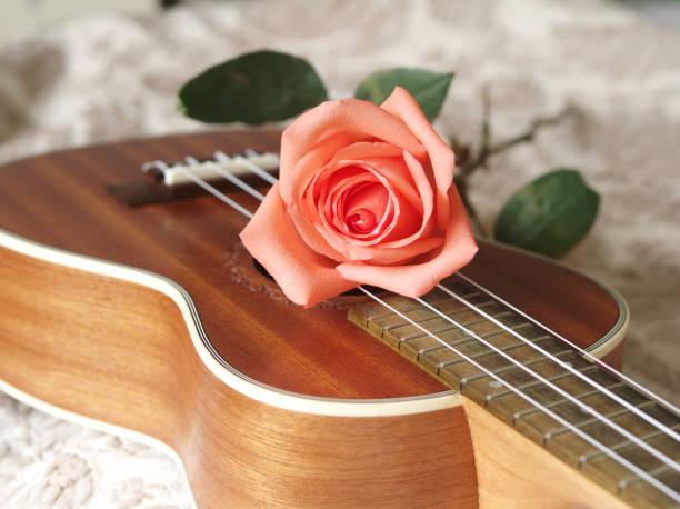 istock Rose on ukulele, Love, Valentines concept. 654107344