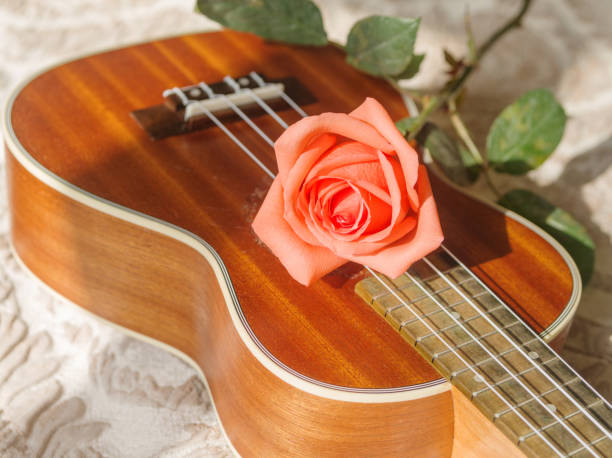istock Rose on ukulele, Love, Valentines concept. 654108432