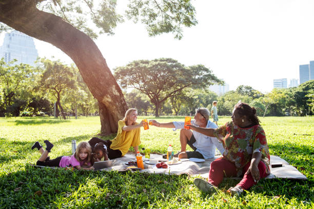 istock Family Picnic Outdoors Togetherness Relaxation Concept 654110928