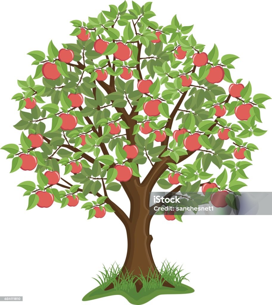 Apple Tree Stock Illustration - Download Image Now - Apple Tree ...