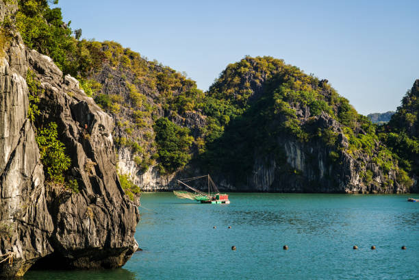 istock Halong Bay, Vietnam 654123882