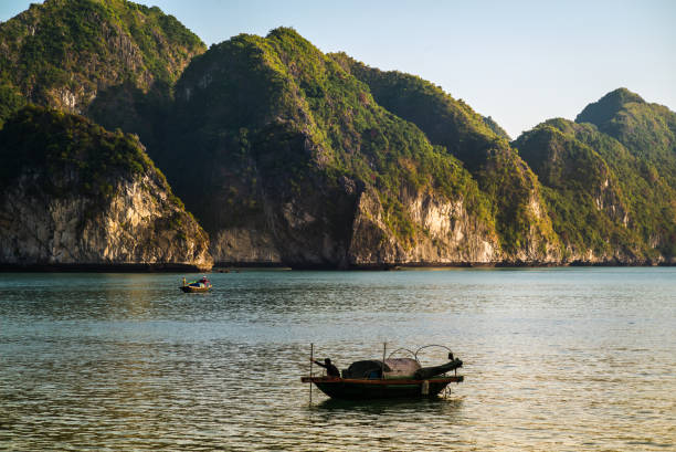 istock Halong Bay, Vietnam 654125070