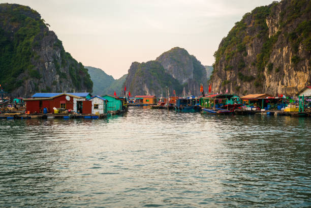istock Halong Bay, Vietnam 654126200