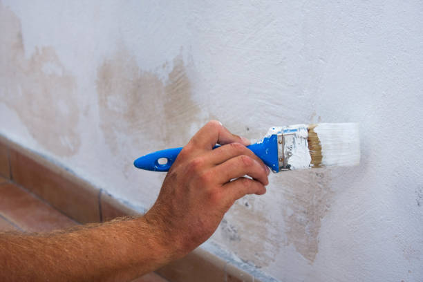 istock Hand holding brush painting wall 654126218
