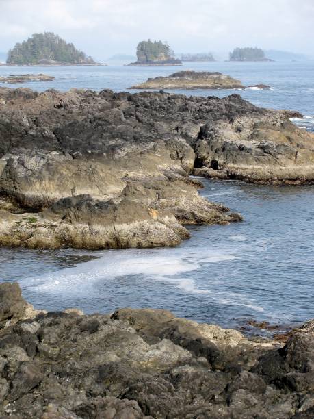 istock Rugged cliffs and shoreline. The Wild Pacific Trail, Ucluelet, BC, Canada 654133878