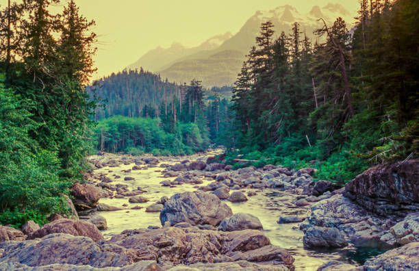 istock Swift river in Autumn White Mountains, New Hampshire 654141438