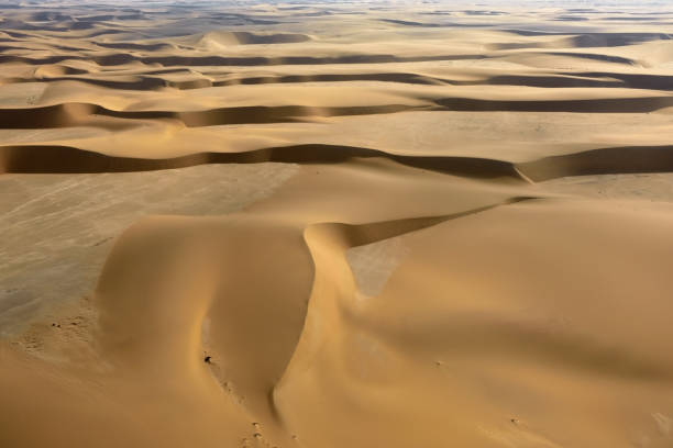 istock Namib desert, Namibia, Africa 654142338