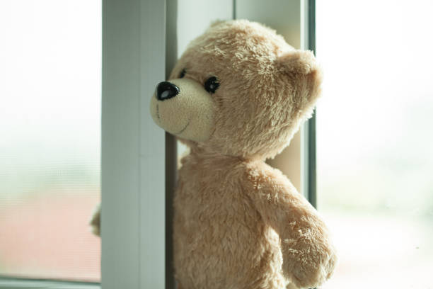 istock Teddy bear looking out of the window background for records 654142394