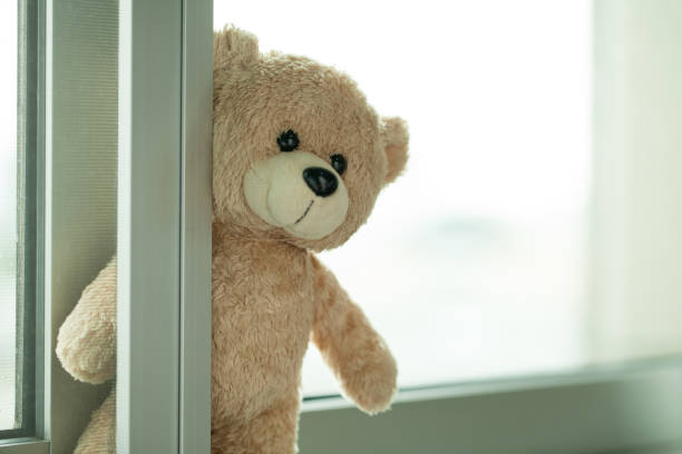 istock Teddy bear looking out of the window background for records 654142600