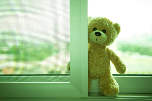 istock Teddy Bear toy alone Standing at the window Waiting for someone to have hope. 654142632